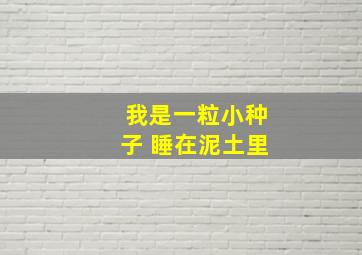 我是一粒小种子 睡在泥土里